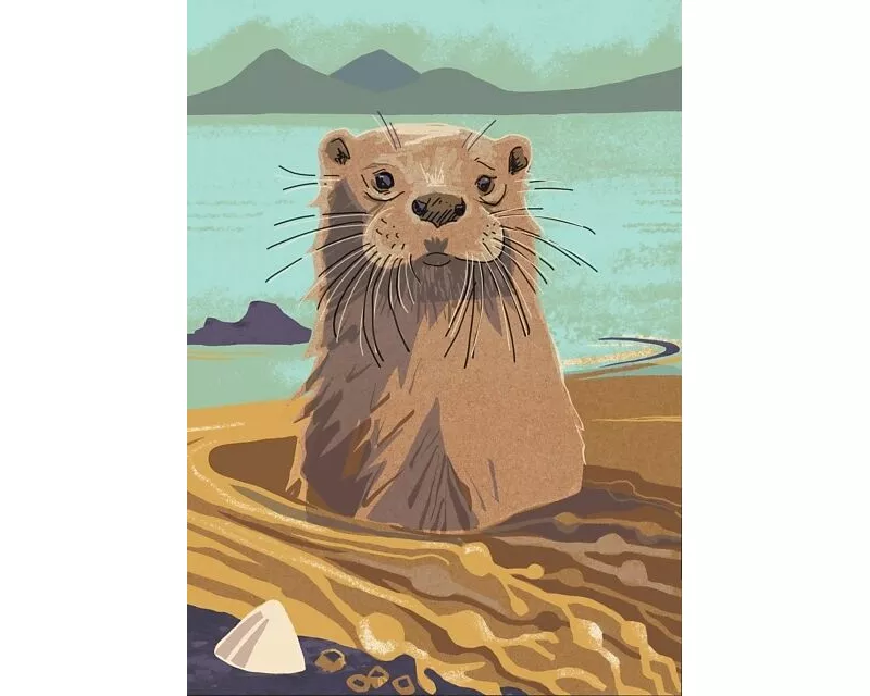 Nature Notebook: Otter