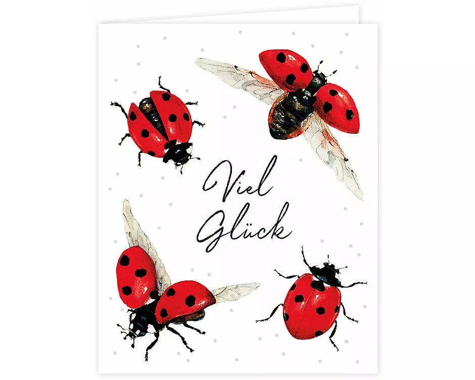 Mini-Doppelkarte. Marienkäfer