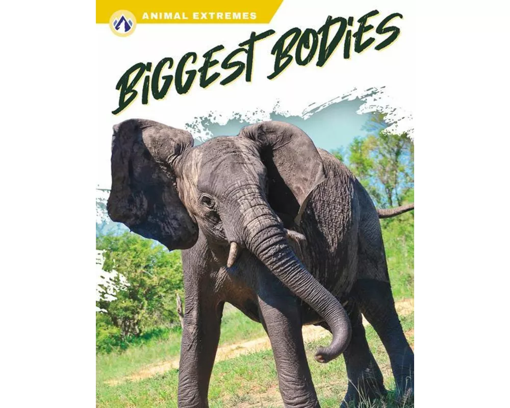 Biggest Bodies