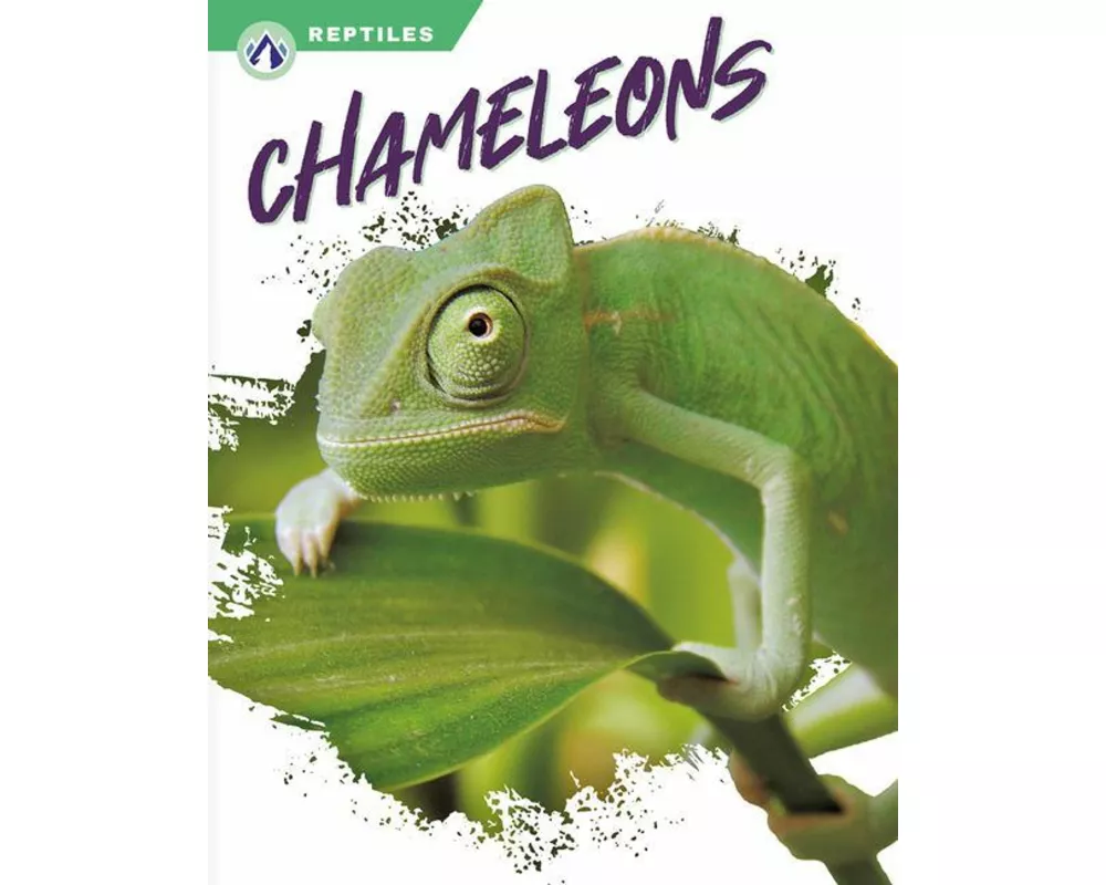 Chameleons