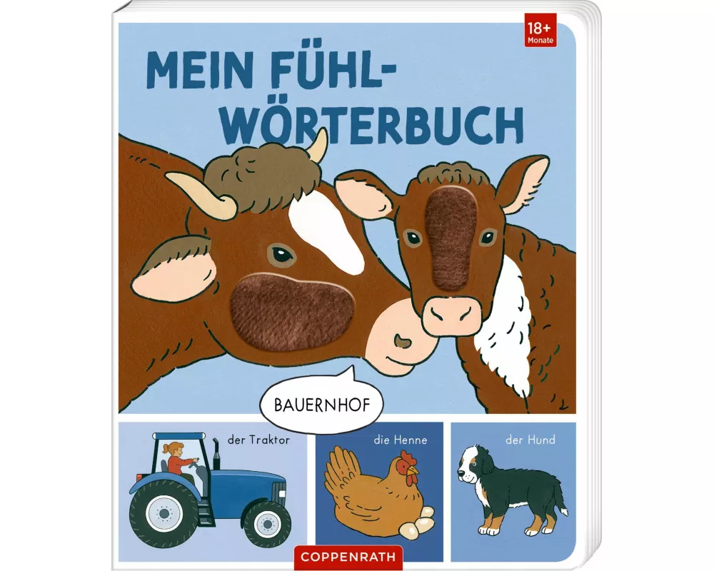 Mein Fühl-Wörterbuch