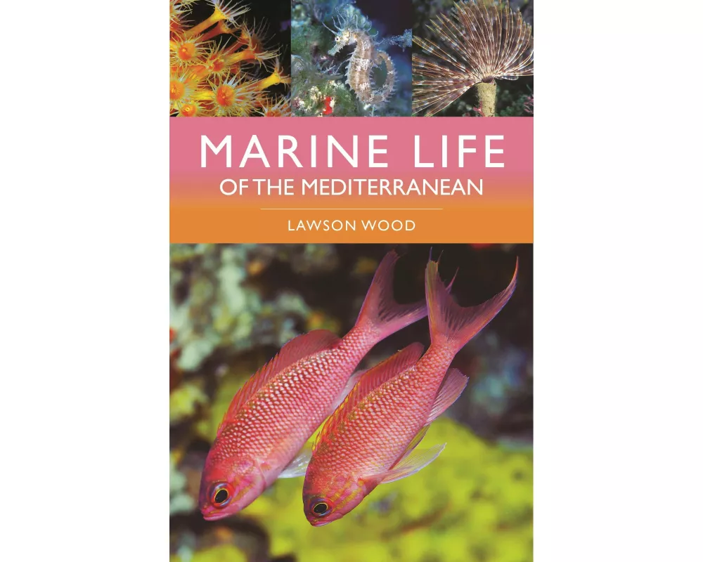 Marine Life of the Mediterranean