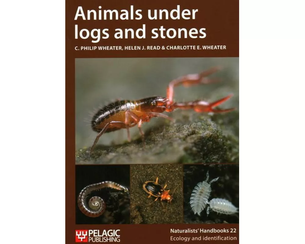 Animals Under Logs and Stones