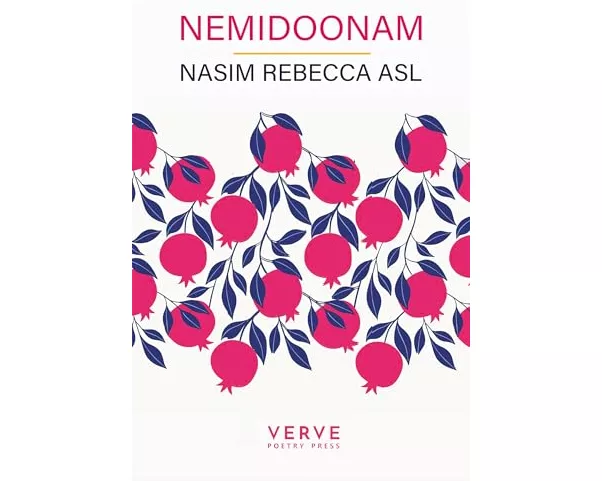 Nemidoonam