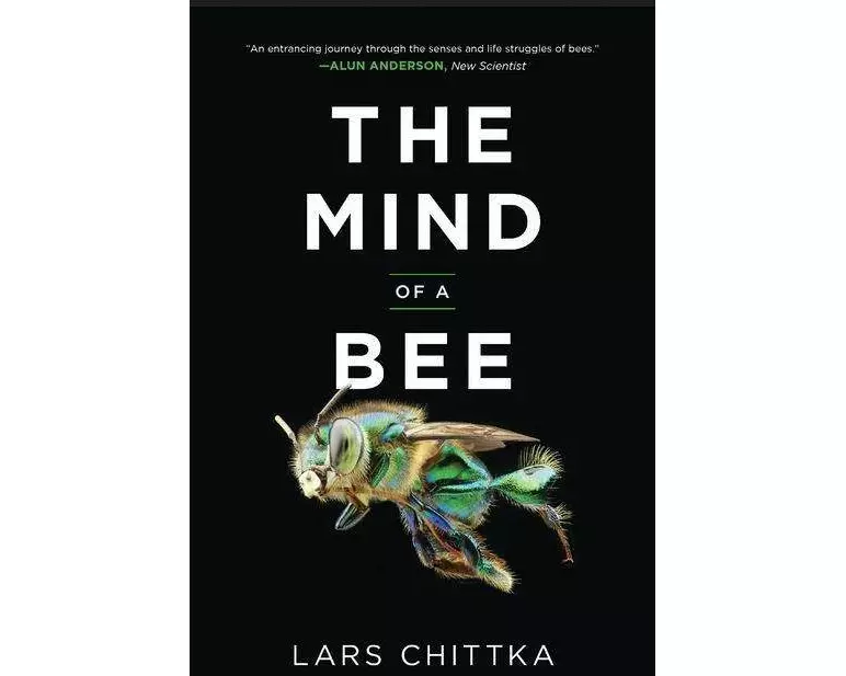 The Mind of a Bee