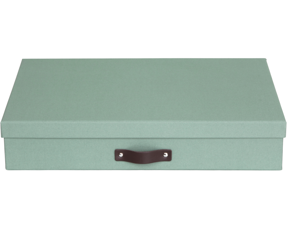 BIGSO BOX OF SWEDEN Aufbewahrungsbox Sverker 9341C1649L01 mintgrün A3