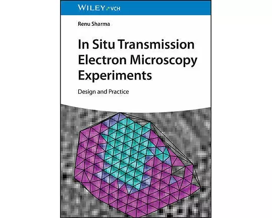 In-Situ Transmission Electron Microscopy Experiments