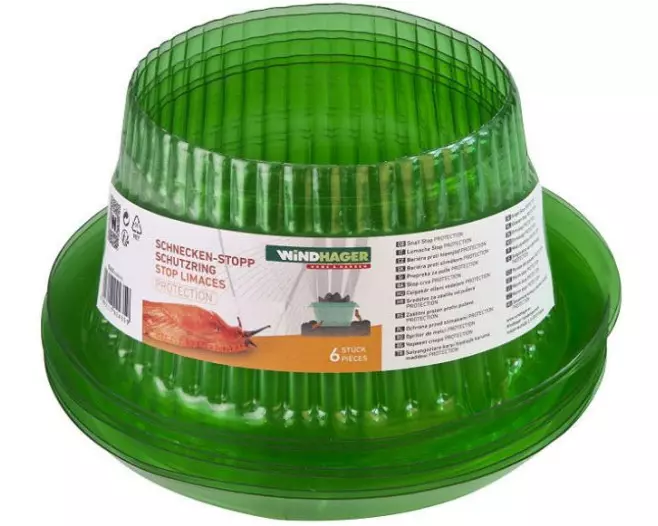 Windhager Schnecken-Schutzring 6 Stück