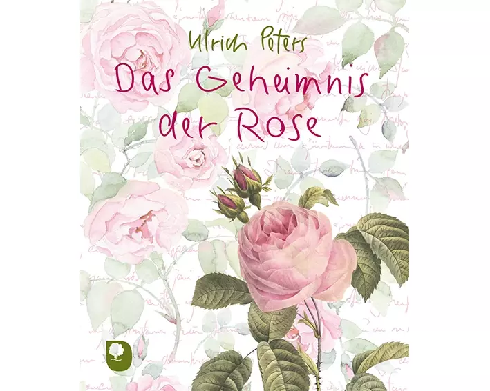 Das Geheimnis der Rose