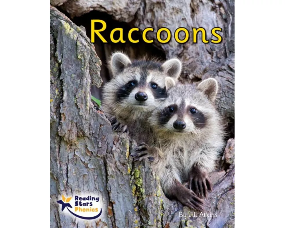 Raccoons