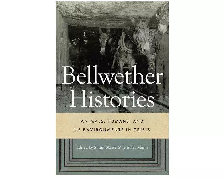Bellwether Histories