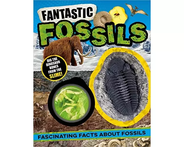Non-Fiction Books Fantastic Fossils