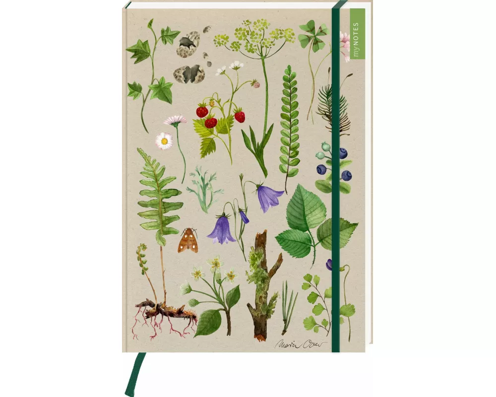 myNOTES Papeterie: Notizbuch A4 Naturschätze