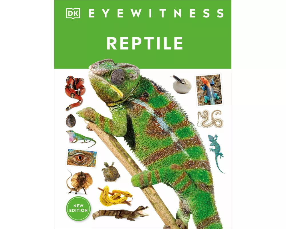 Eyewitness Reptile