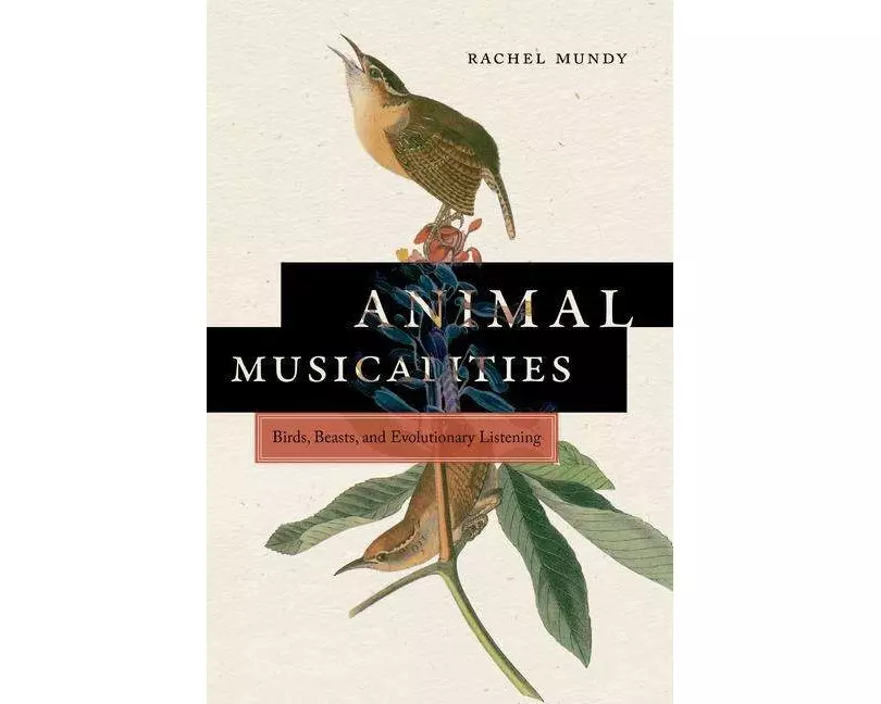 Animal Musicalities