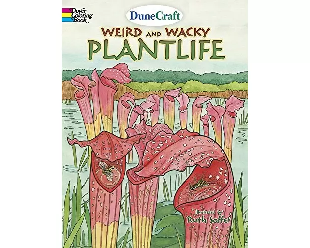 DuneCraft Weird and Wacky Plantlife