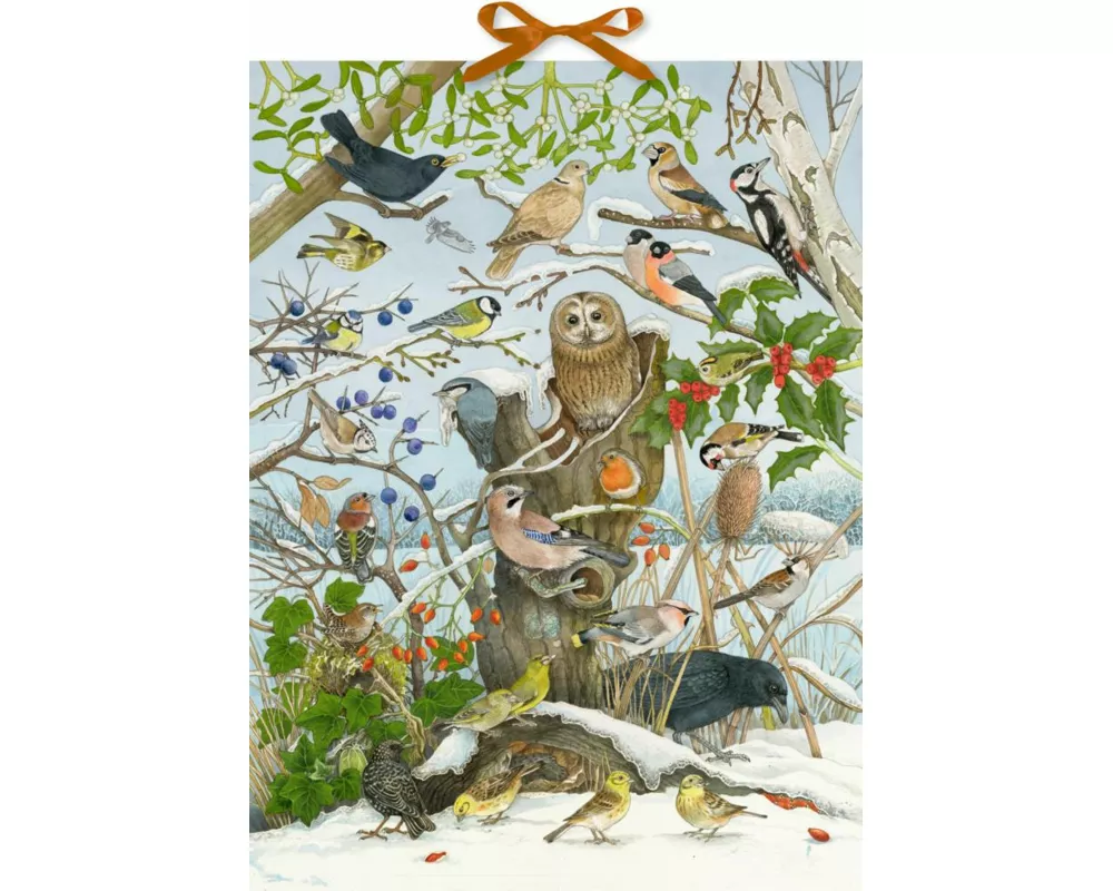 Sound-Adventskalender – Unsere Vögel im Winter