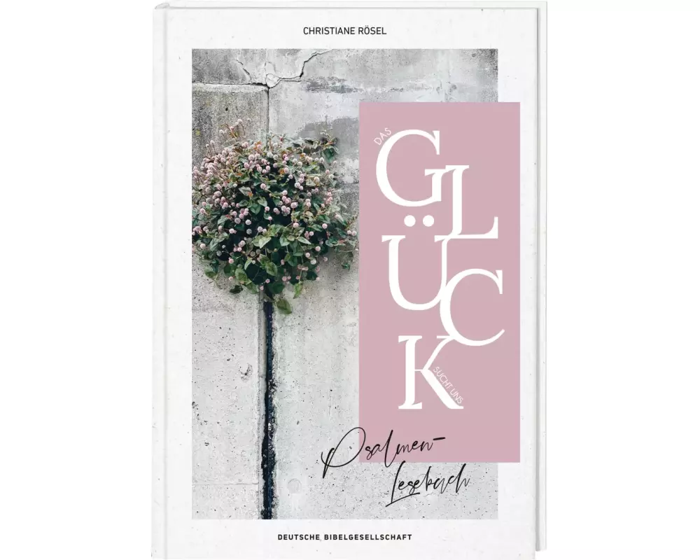 Das Glück sucht uns. Psalmen-Lesebuch. Mit christlicher Spiritualität Kraft finden: Psalmen und biblische Texte neu entdecken. Bibelverse zum Nachdenk