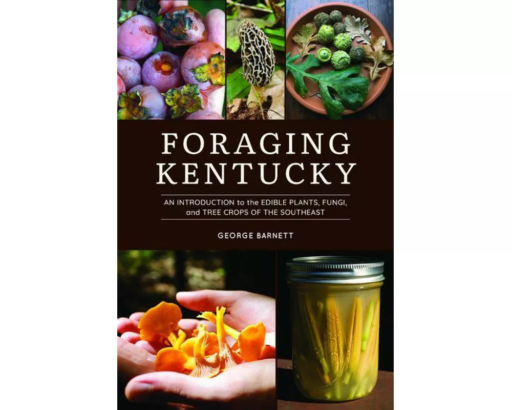 Foraging Kentucky