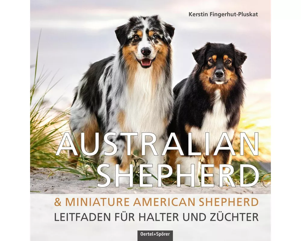 Australian Shepherd & Miniature American Shepherd