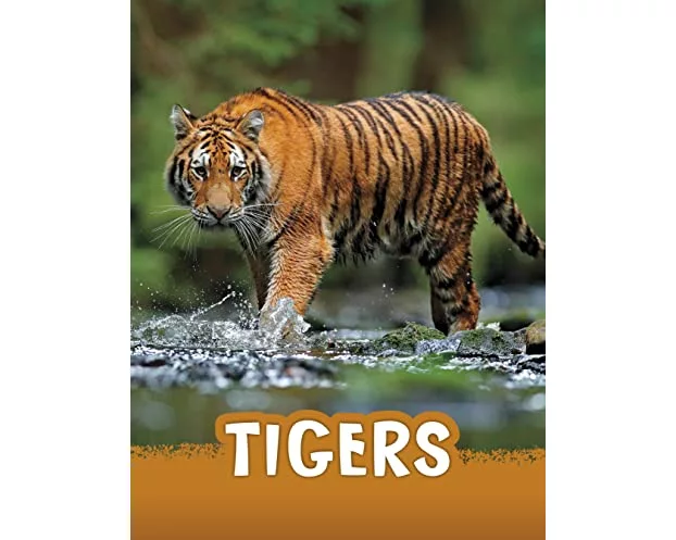 Tigers