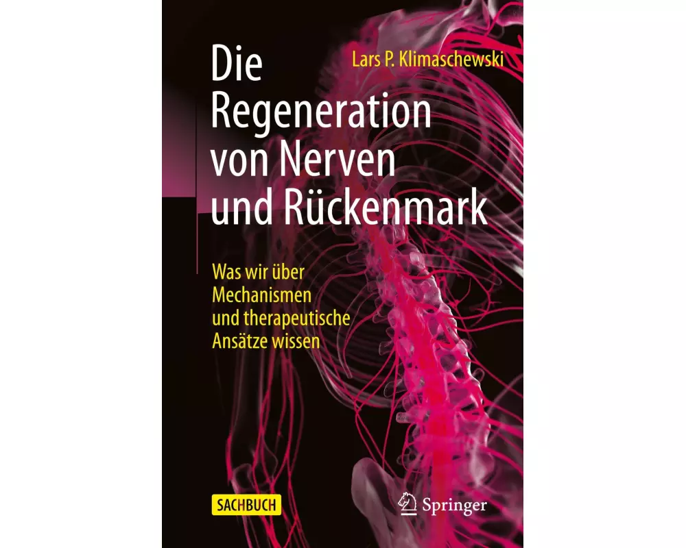 Die Regeneration von Nerven und Rückenmark