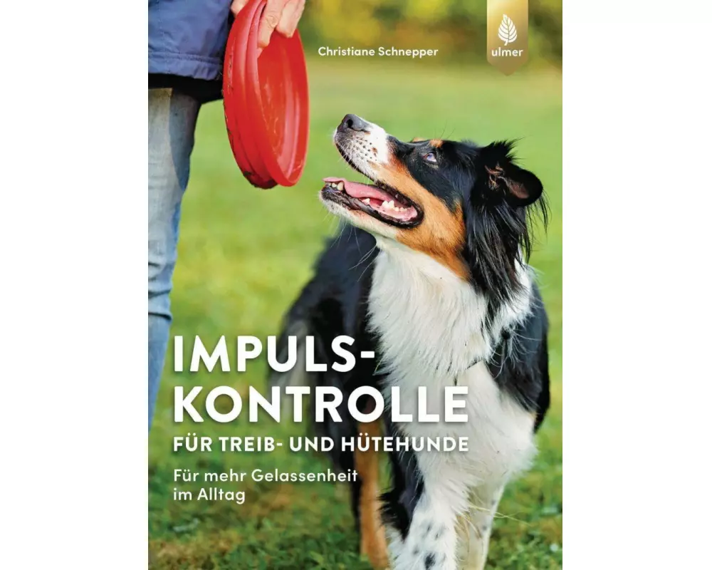 Impulskontrolle für Treib- und Hütehunde