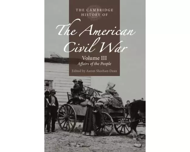 The Cambridge History of the American Civil War: Volume 3, Affairs of the People
