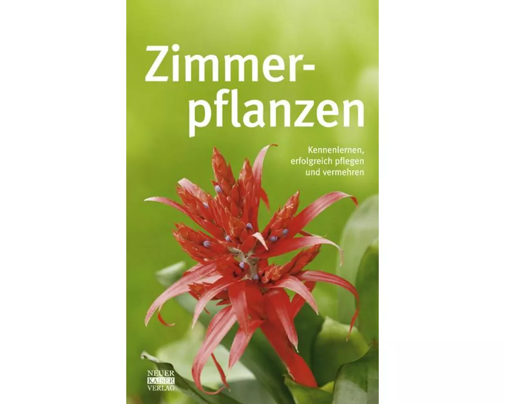 Zimmerpflanzen