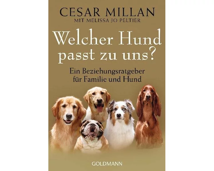 Welcher Hund passt zu uns?