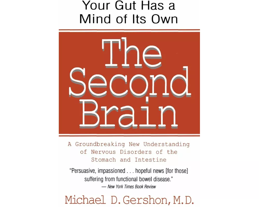 The Second Brain