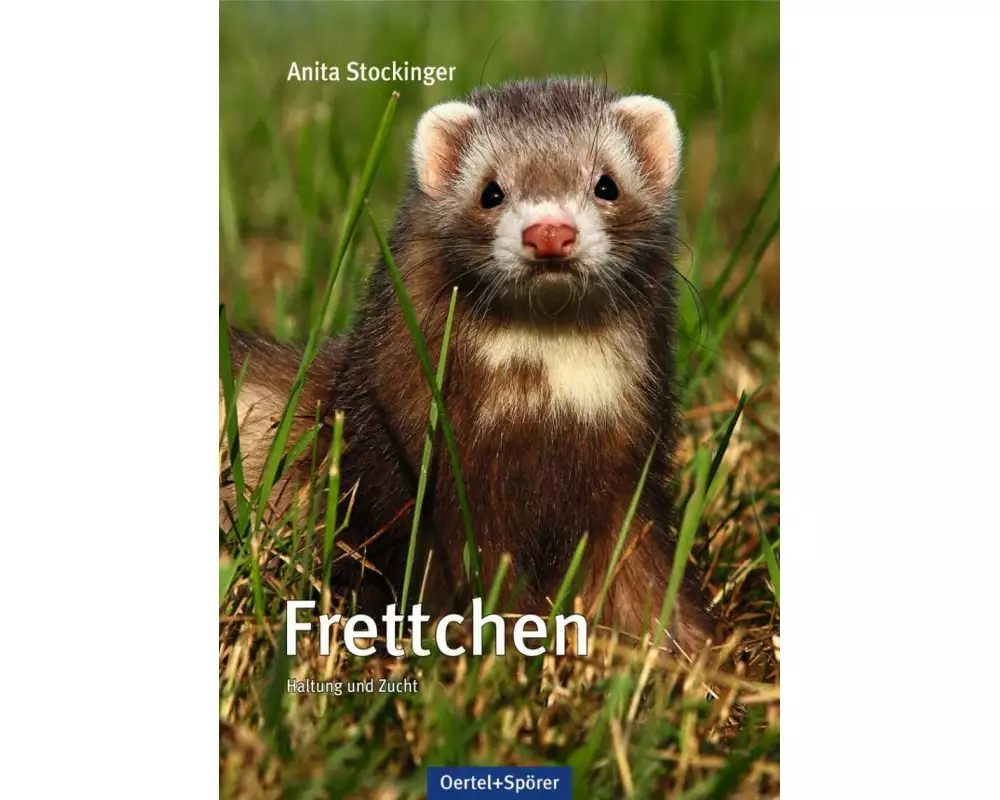 Frettchen