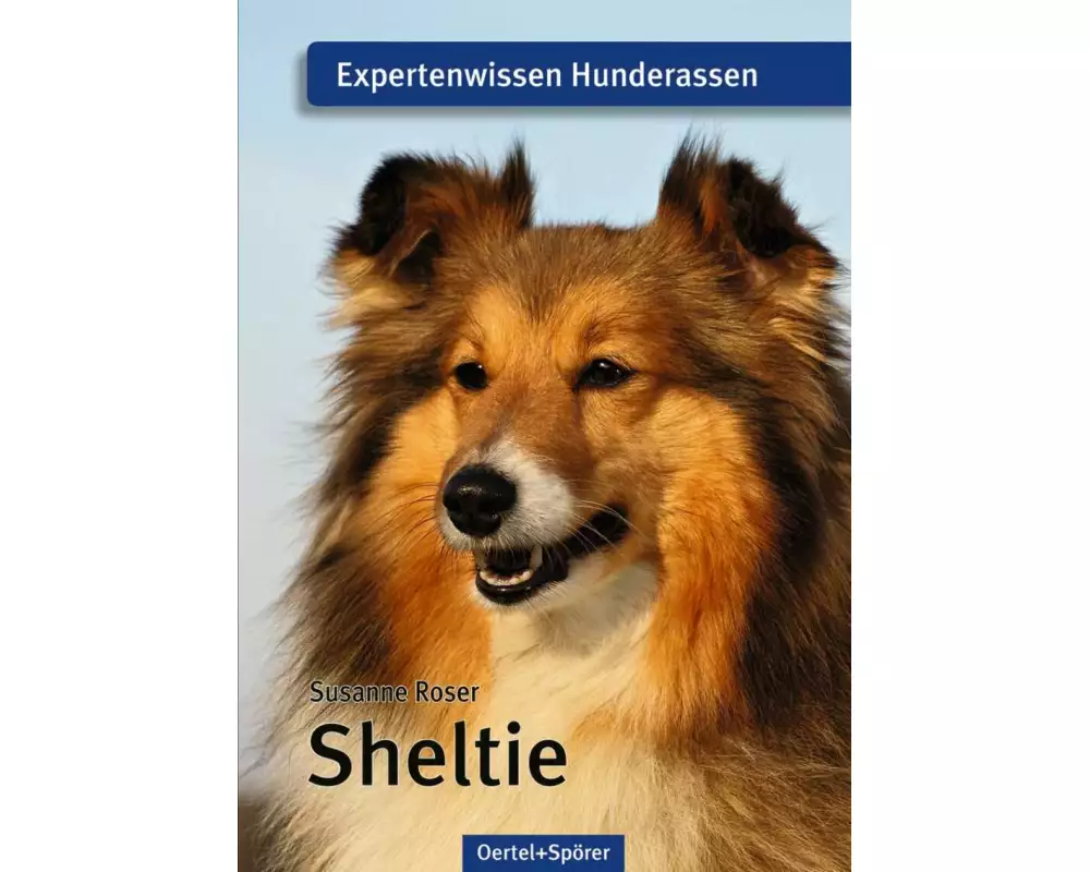 Sheltie