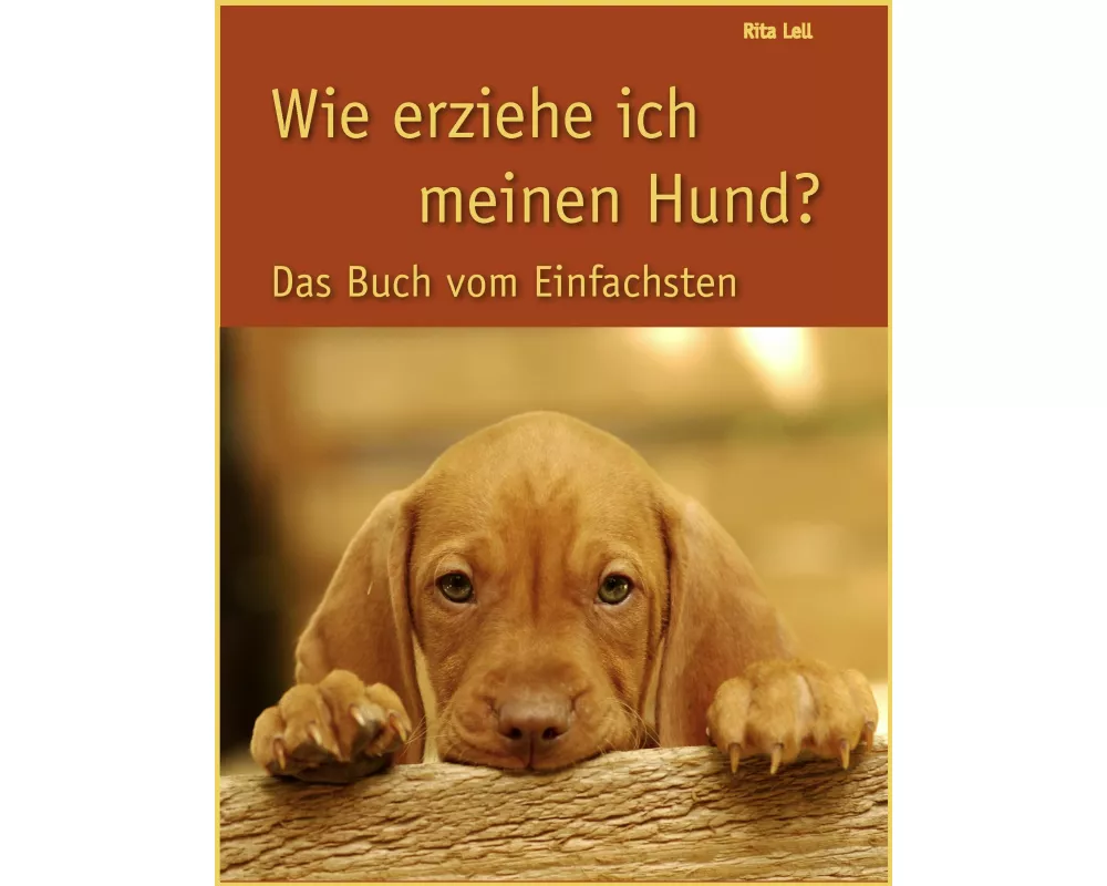 Wie erziehe ich meinen Hund