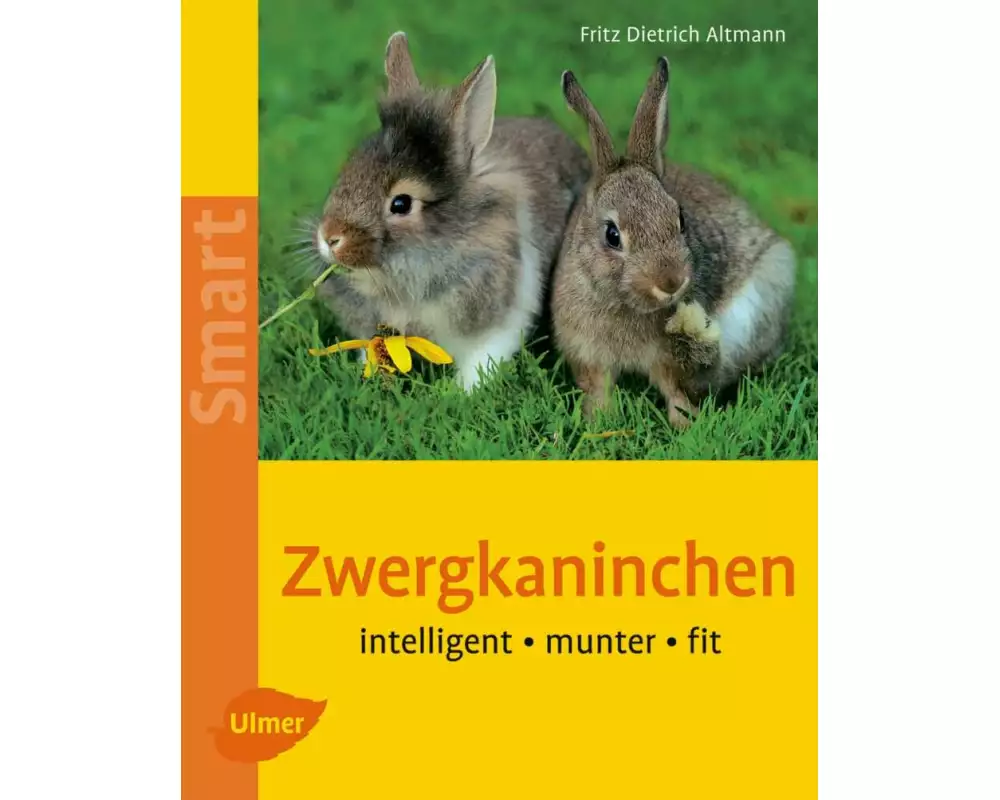 Zwergkaninchen
