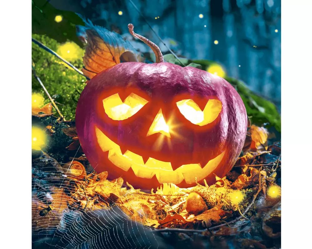 Paper + Design Servietten Pumpkin Night 33 cm x 33 cm, 20 Stück