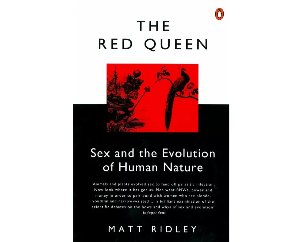 The Red Queen