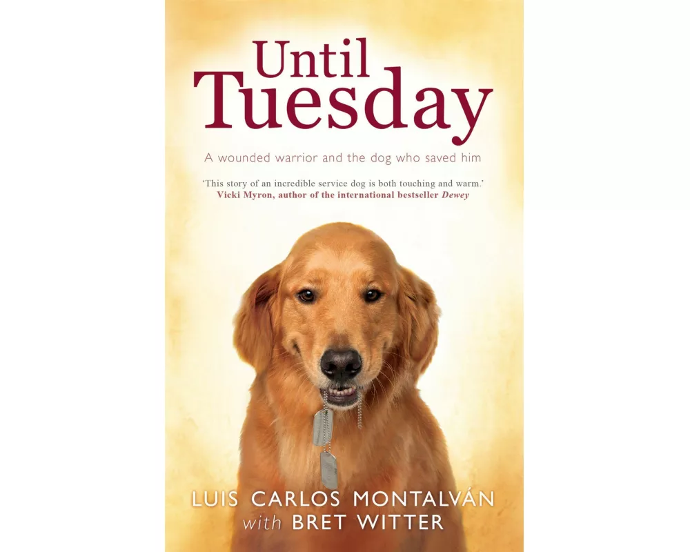 Until Tuesday