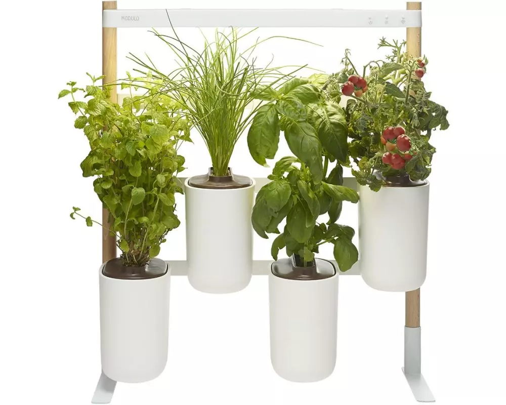 Prêt à Pousser Kräutertopf Indoor Modulo 2 Weiss