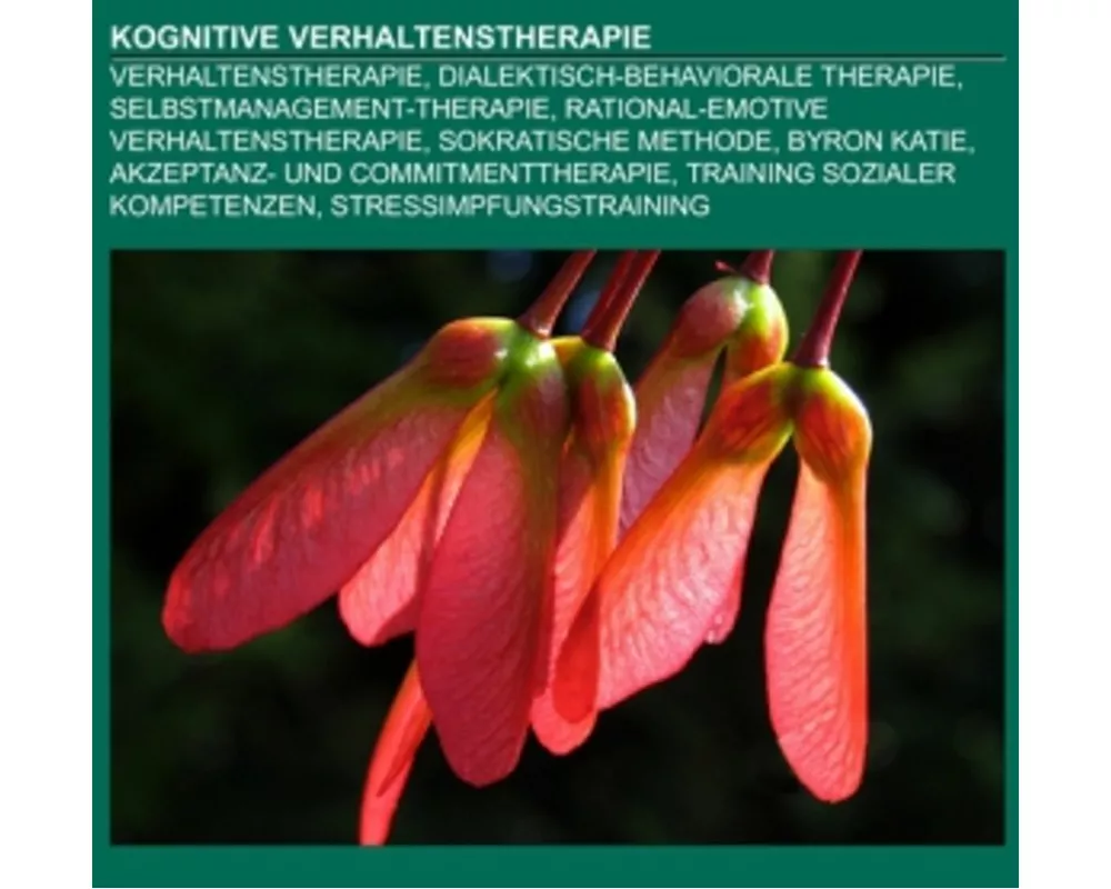 Kognitive Verhaltenstherapie