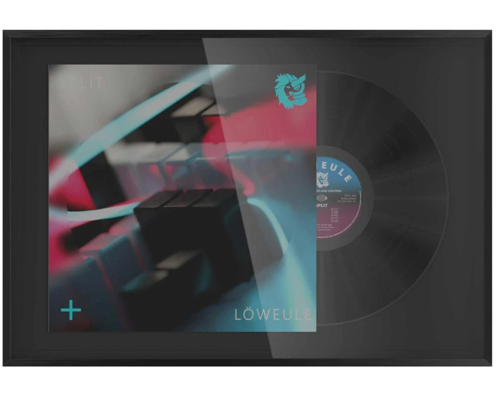 Glorious Record Display Frame