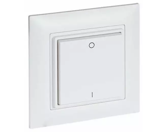 Omnio Funk-Wandsender EnOcean WS-CH-102-L-RW 2/4-fach ein/aus