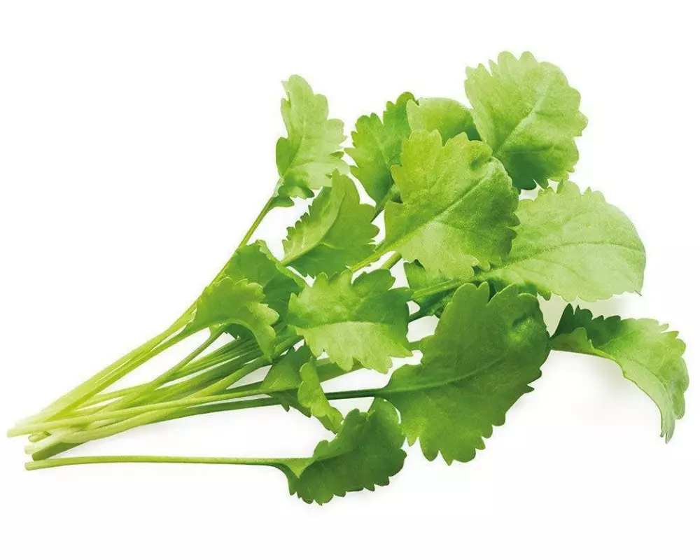 Click and Grow Samen Kresse Nachfüllpackung 3er-Set