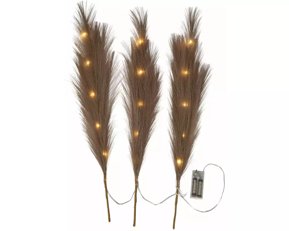 Star Trading Dekorativer Zweig Plumes Indoor, Braun, 65 cm Höhe
