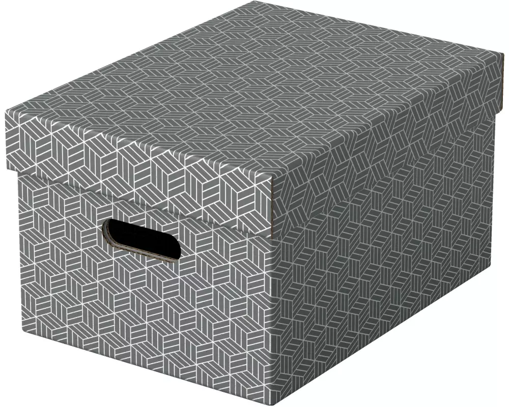 Leitz Aufbewahrungsbox Esselte Home M Mittel, 3 Stück, Grau