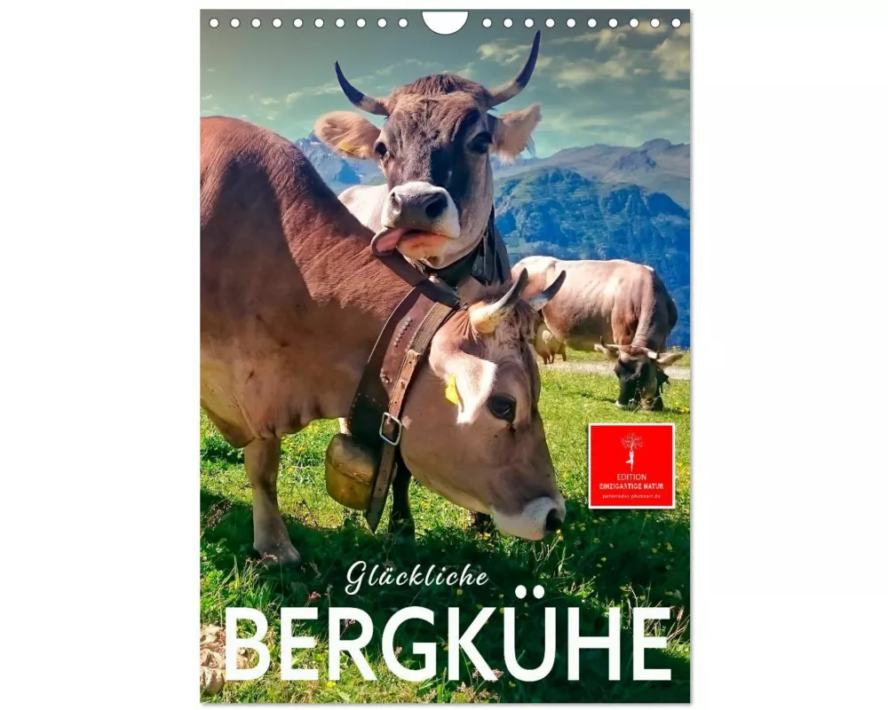 Glückliche Bergkühe (Wandkalender 2026 DIN A4 hoch), CALVENDO Monatskalender