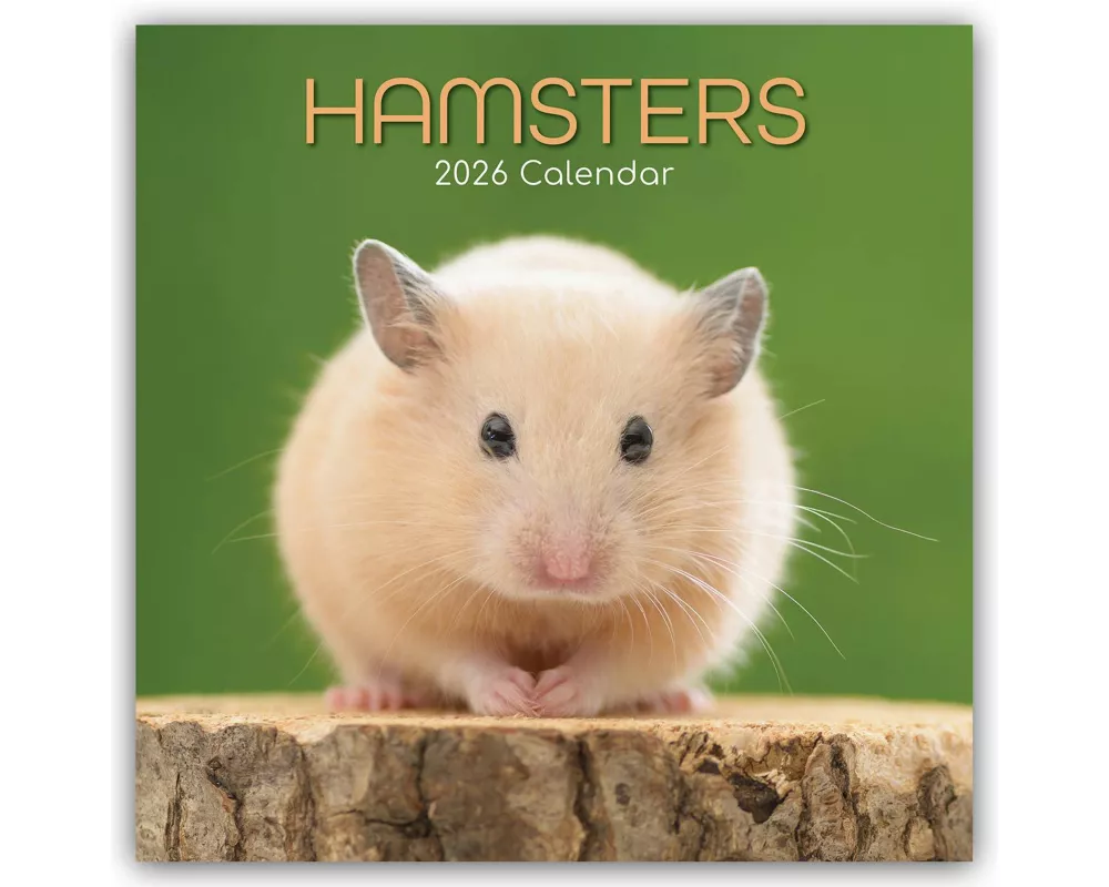 Hamsters - Hamster 2026 - 16-Monatskalender