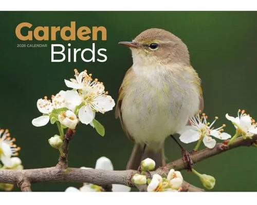 Garden Birds A4 Calendar 2026
