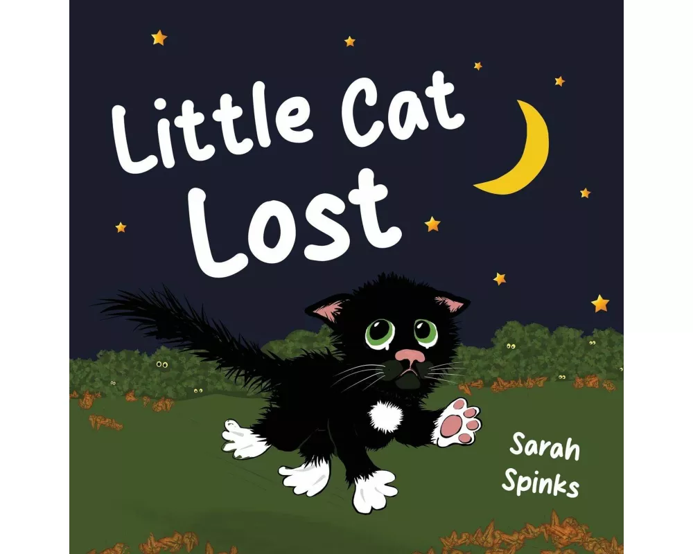 Little Cat Lost