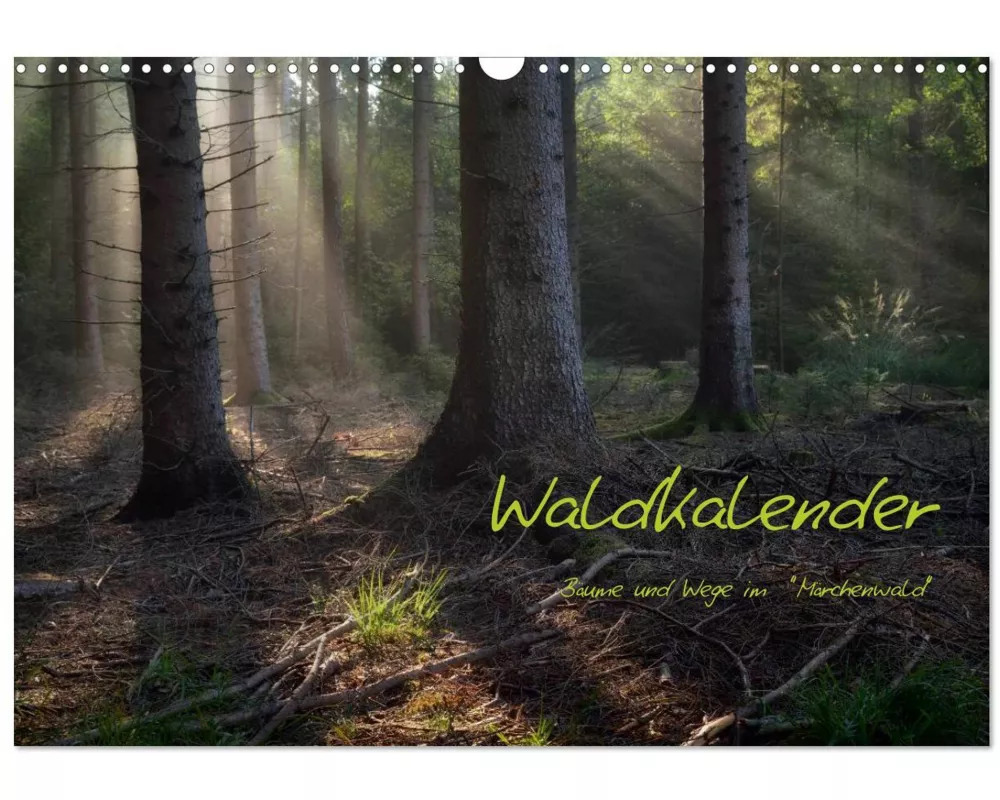 Waldkalender (Wandkalender 2026 DIN A3 quer), CALVENDO Monatskalender